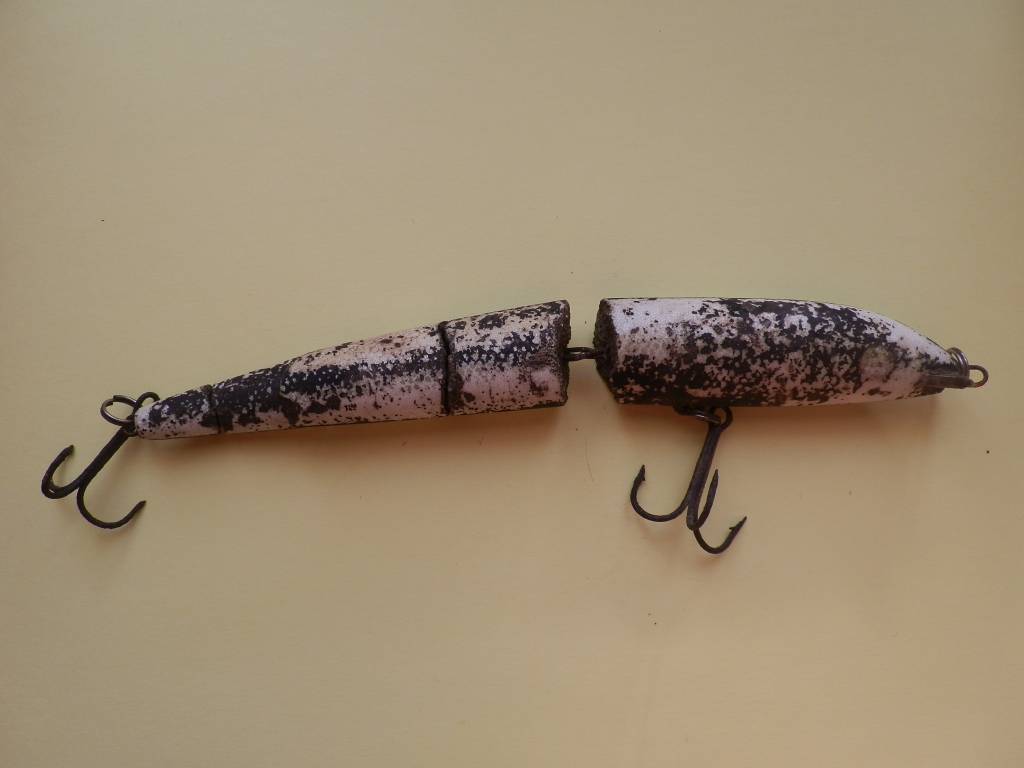 P7230020.jpg P7230020.jpg