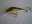 DSC00136.JPG