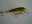 DSC00137.JPG