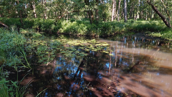 20250614_093535.jpg 20250614_093535.jpg