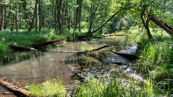 20250614_110616.jpg 20250614_110616.jpg
