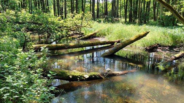 20250614_115920.jpg 20250614_115920.jpg