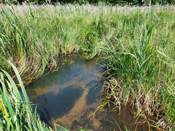 20250614_135447.jpg 20250614_135447.jpg