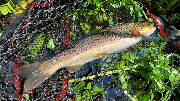 20250614_144034.jpg 20250614_144034.jpg