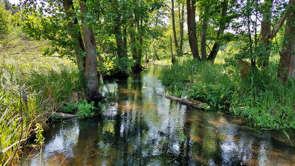 20250614_154002.jpg 20250614_154002.jpg