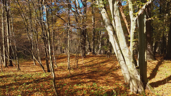 20251020_140938.jpg 20251020_140938.jpg