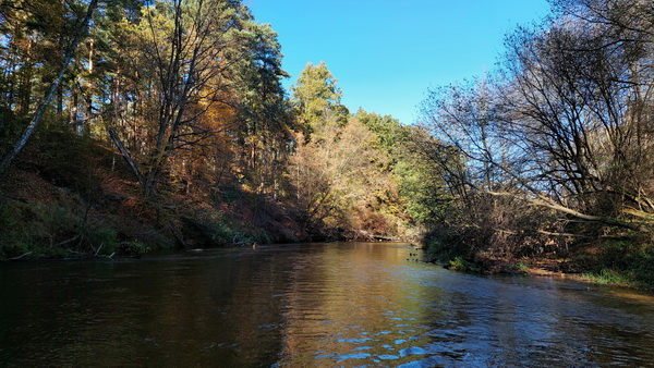 20251020_142452.jpg 20251020_142452.jpg