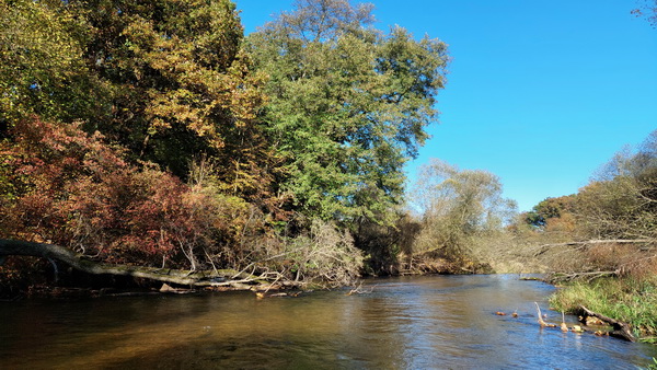 20251020_144238.jpg 20251020_144238.jpg