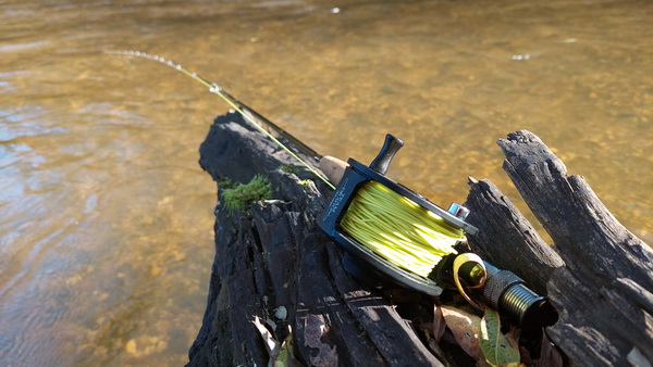 20251020_145205.jpg 20251020_145205.jpg