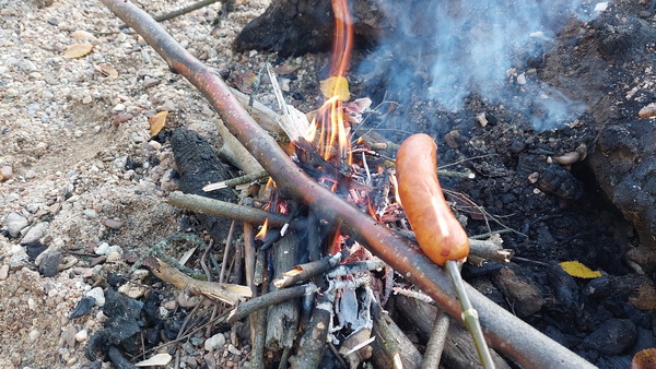 20251020_161542.jpg 20251020_161542.jpg