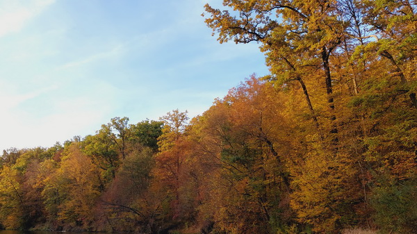 20251020_164515.jpg 20251020_164515.jpg