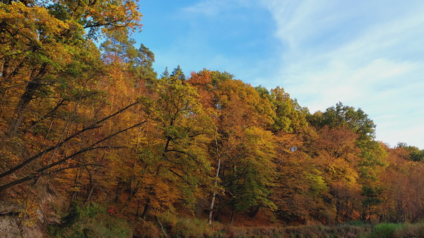 20251020_164613.jpg 20251020_164613.jpg