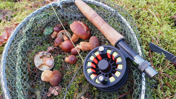 20251020_170715.jpg 20251020_170715.jpg