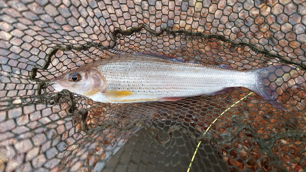 20251022_112800.jpg 20251022_112800.jpg