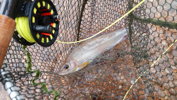 20251022_112828.jpg 20251022_112828.jpg