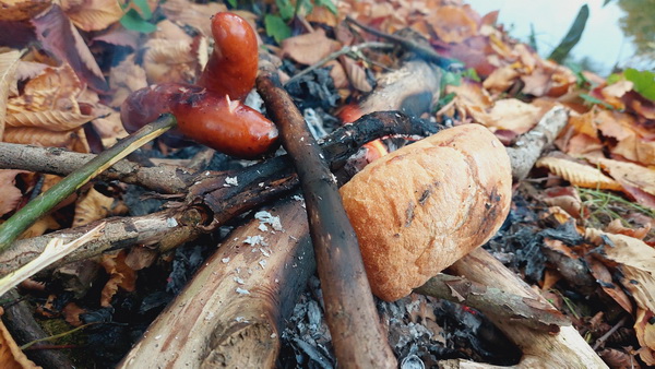 20251022_152303.jpg 20251022_152303.jpg