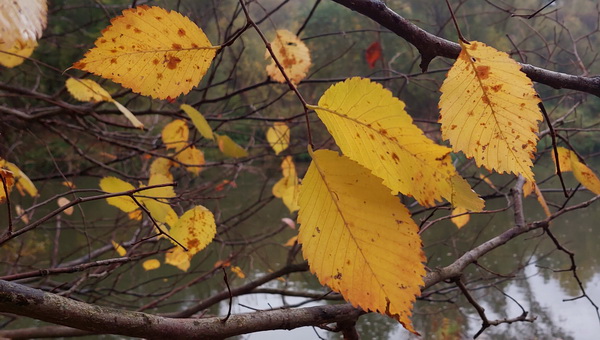 20251022_152503.jpg 20251022_152503.jpg