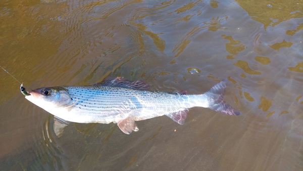 20251026_105906.jpg 20251026_105906.jpg