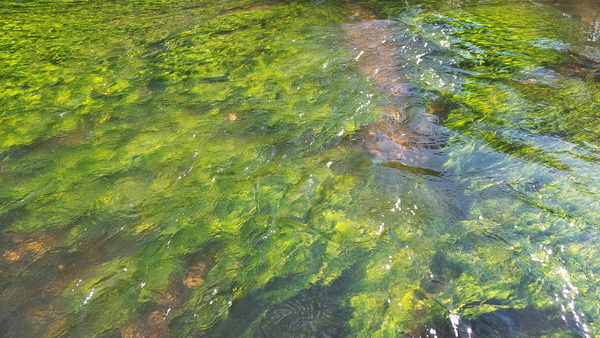 20251026_111136.jpg 20251026_111136.jpg