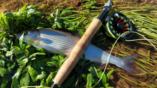 20251026_113913.jpg 20251026_113913.jpg