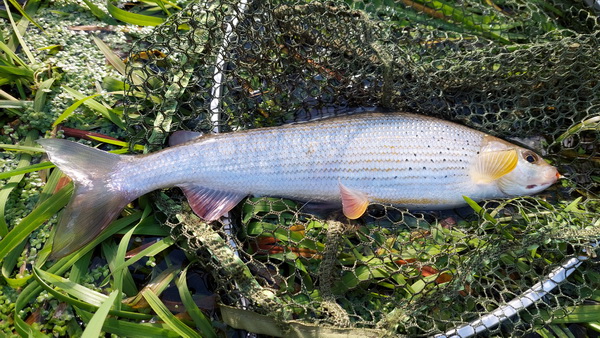 20251026_121725.jpg 20251026_121725.jpg