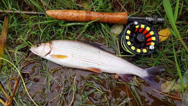 20251026_132732.jpg 20251026_132732.jpg