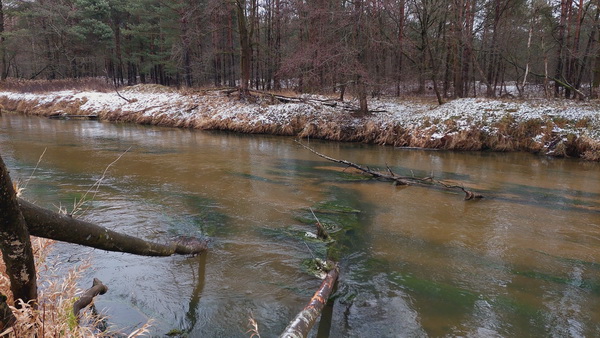 20260101_103003.jpg 20260101_103003.jpg