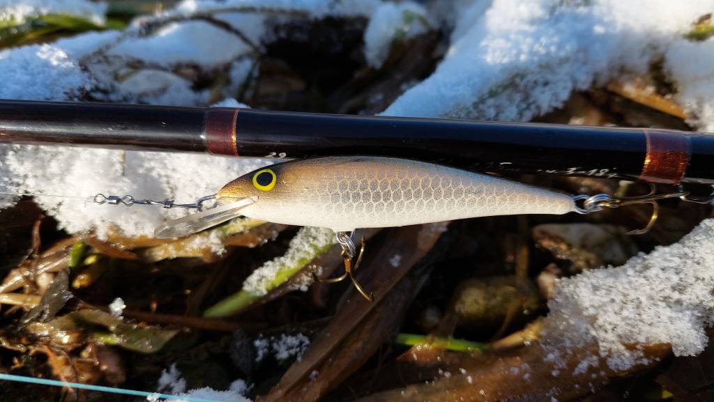 20260104_114314.jpg 20260104_114314.jpg