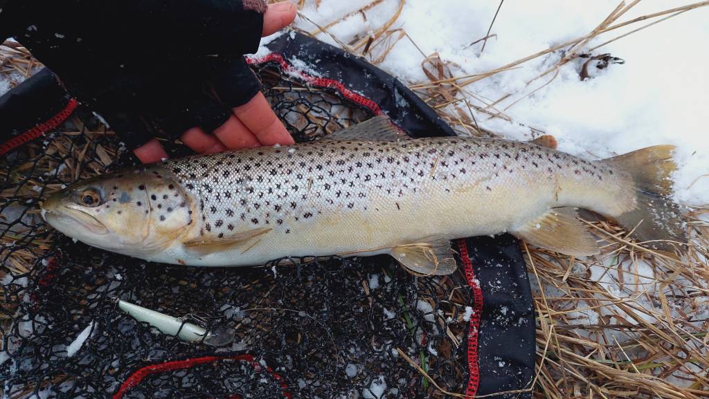 20260104_153318.jpg 20260104_153318.jpg