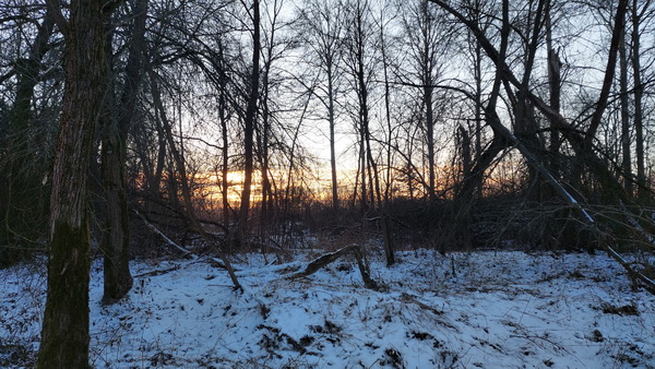 20260108_152915.jpg 20260108_152915.jpg