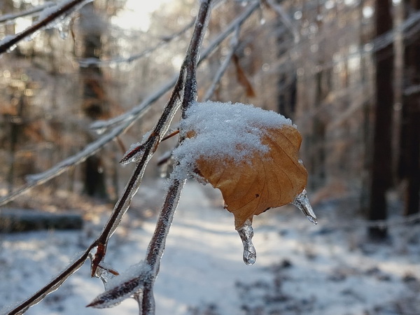 20260128_103620.jpg 20260128_103620.jpg