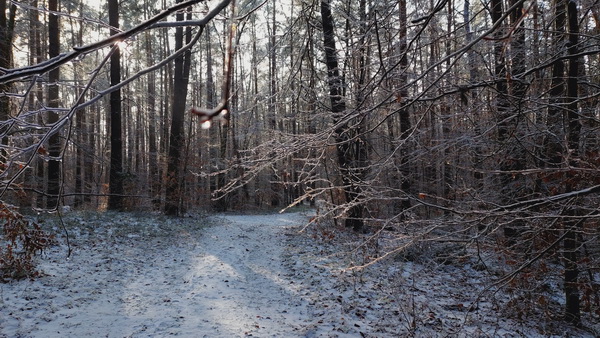 20260128_104718.jpg 20260128_104718.jpg