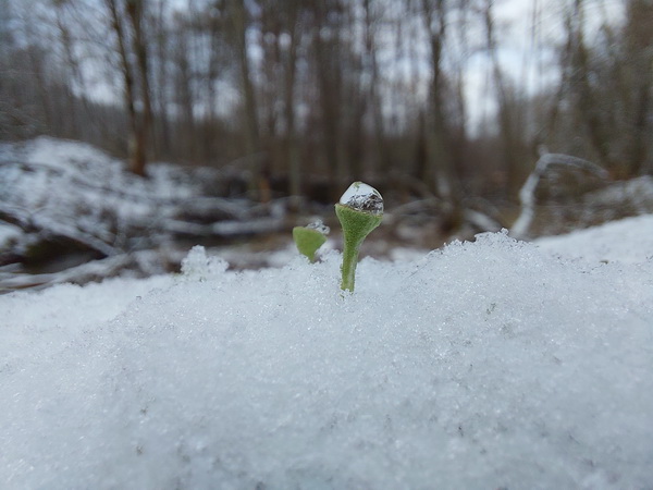 20260128_132112.jpg 20260128_132112.jpg