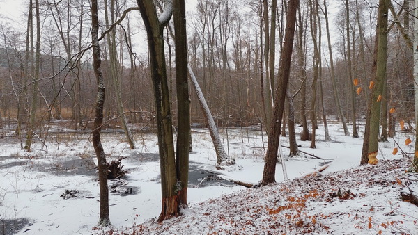 20260128_135453.jpg 20260128_135453.jpg