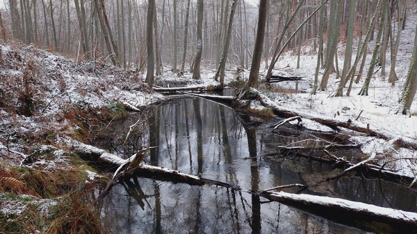 20260128_144936.jpg 20260128_144936.jpg