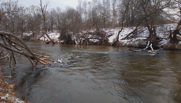 20260131_140926.jpg 20260131_140926.jpg