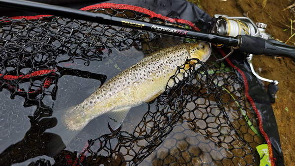 IMG_20260816_110102.jpg IMG_20260816_110102.jpg
