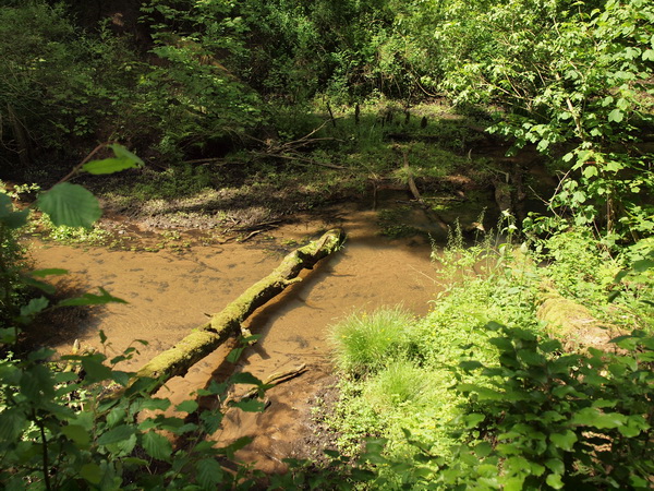 P5259417.jpg P5259417.jpg