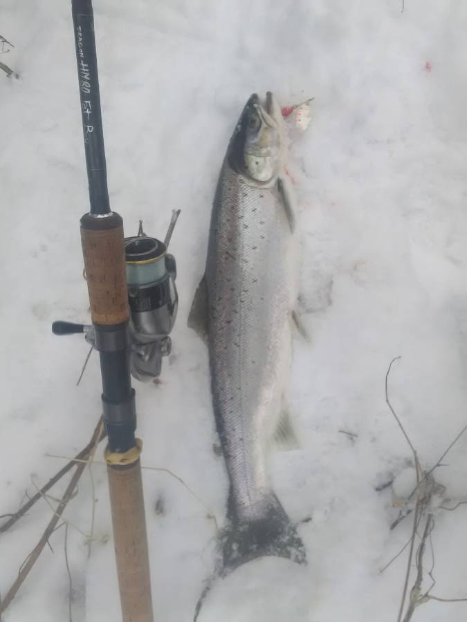 IMG_20170119_093811.jpg IMG_20170119_093811.jpg