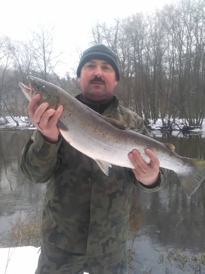 IMG_20170120_103432.jpg IMG_20170120_103432.jpg