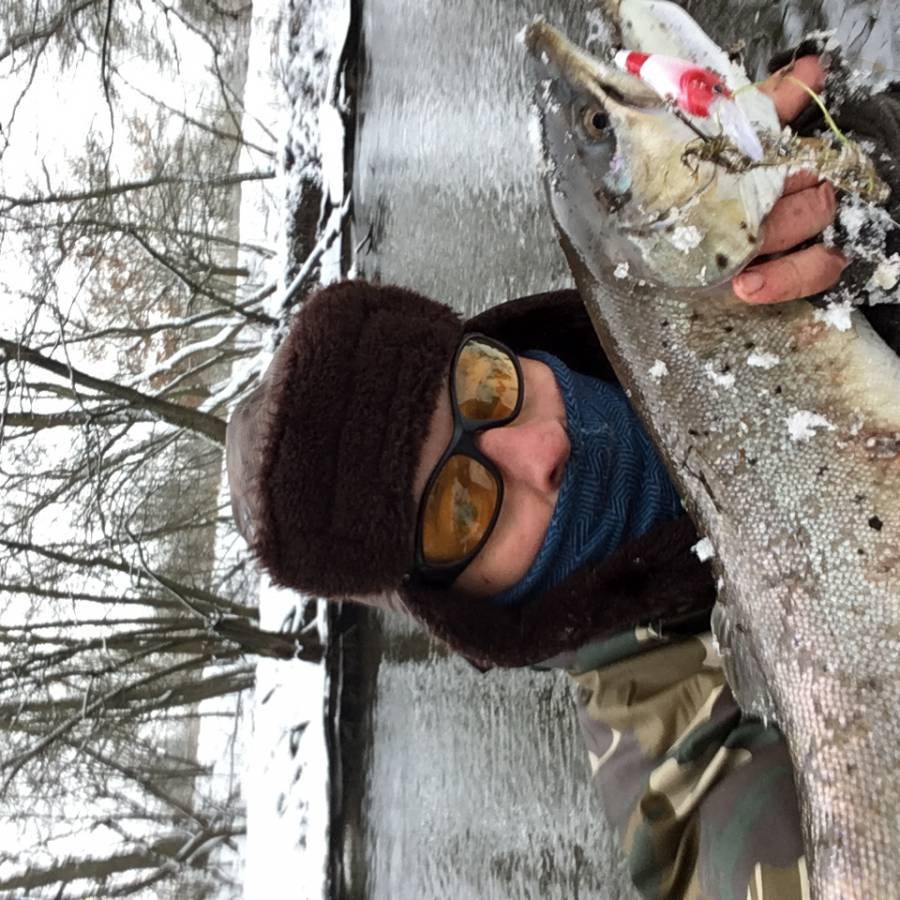 IMG_1266.jpg IMG_1266.jpg